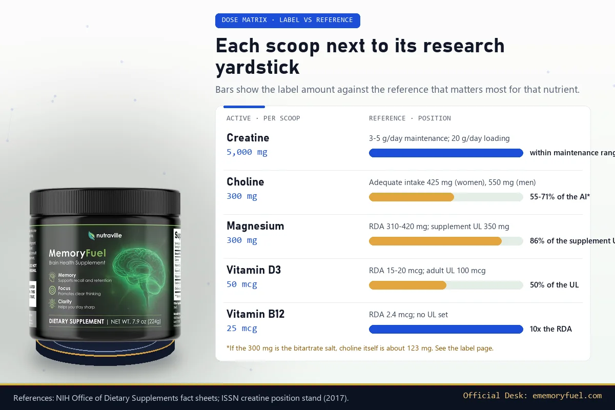 Dose matrix comparing each MemoryFuel ingredient with its reference: creatine within the maintenance range, choline below the adequate intake, magnesium near the supplement upper limit, D3 at half the upper limit, B12 ten times the RDA